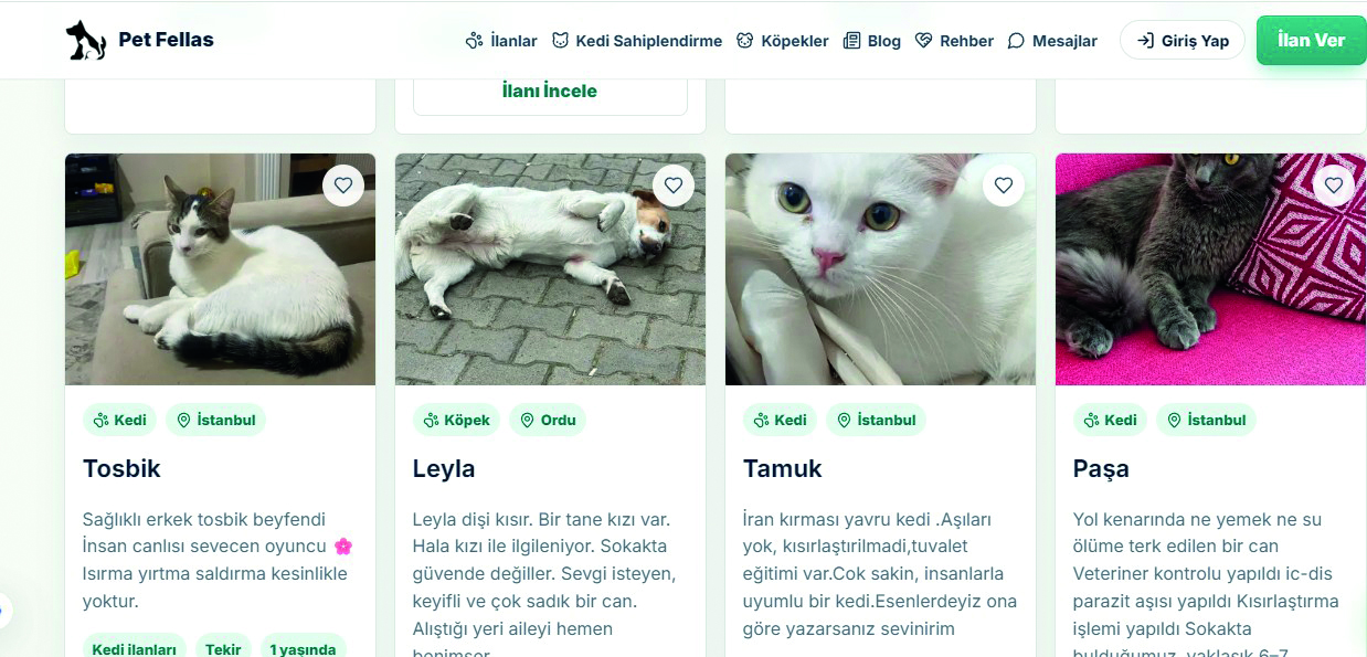 Hayvan sahiplendirme ilanları için yeni platform